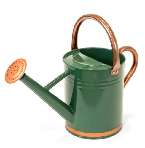 1-Gallon Galvanized Steel Watering Can w/ O-Ring, Top Handle, Green, Appears New - Lot 448