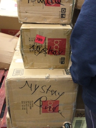 Lot of (4) BCP Mystery Bundle - Lot 789