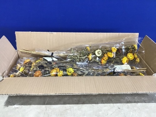 Case of (4) Dried Safflower Stems Plant Bundles - Lot 578