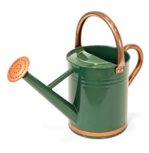1-Gallon Galvanized Steel Watering Can w/ O-Ring, Top Handle, Green - Lot 780