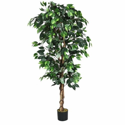 6 Feet Artificial Ficus In/Outdoor Home Tree - Lot 2798