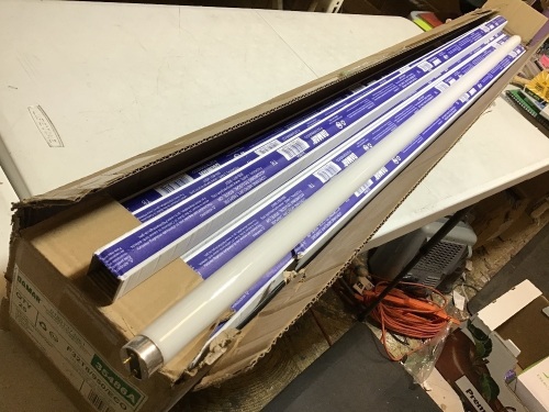 Case of (25) Damar Linear Flourescent Bulbs, F32T8/950/ECO G13 Medium Pin Base - E-Comm Return, Appears New - Lot 370