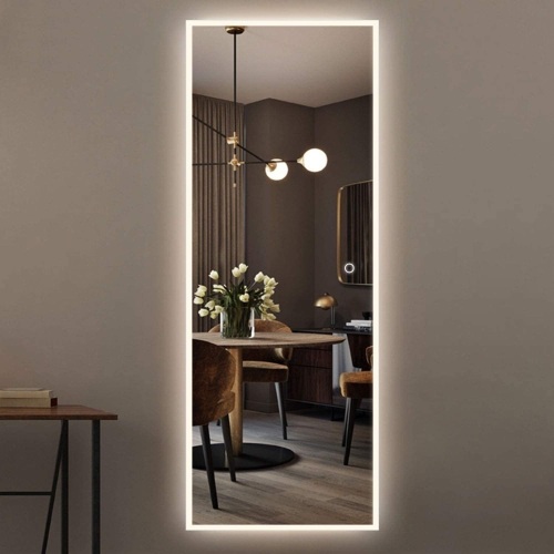 NeuType LED Mirror Full Length Dressing Mirror with Smart Touch Button, Anti-Fog, Stepless Dimmable Lighting, Waterproof 65"x22" - Appears New  - Lot 371