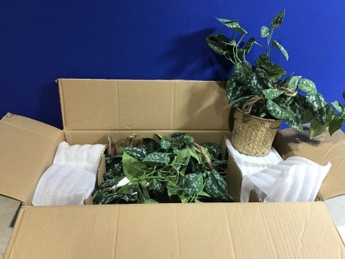 Case of Artificial Hanging Pothos Plants - Lot 1041