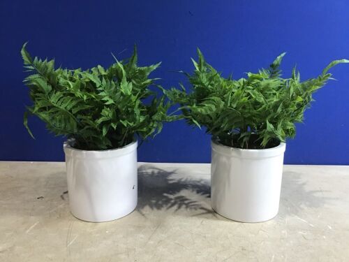 Lot of (2) Artificial Boston Fern Plants 16" x 15"  - Lot 122