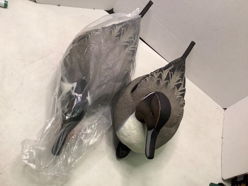 Lot of (2) Decoy Ducks, Ecommerce Return - Lot 116