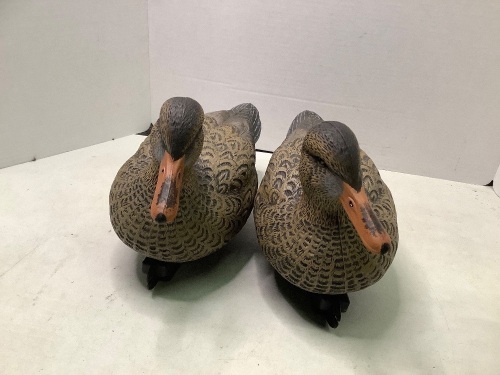 Lot of (2) Decoy Ducks, Ecommerce Return - Lot 119