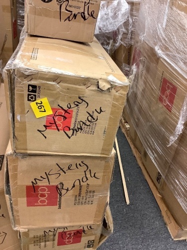 Pallet of (4) BCP Mystery Bundle - Lot 267