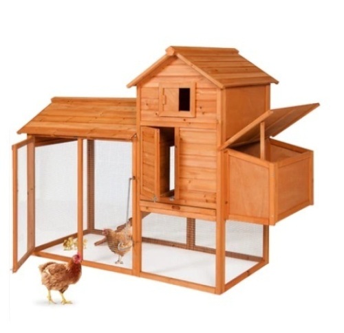 Multi-Level Wooden Chicken Coop, 80in, Boxes A & B - Lot 556