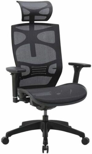 CLATINA Ergonomic Mesh Executive Chair. - Lot 167
