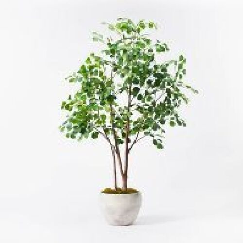 72" Artificial Ficus Tree - Threshold™ designed with Studio McGee - Lot 3835