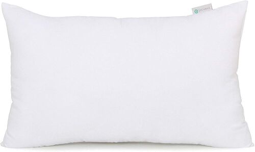 Acanva Home Collection Hypoallergenic Decorative Throw Pillow Inserts, Pack of 2 - Appears New - Lot 364