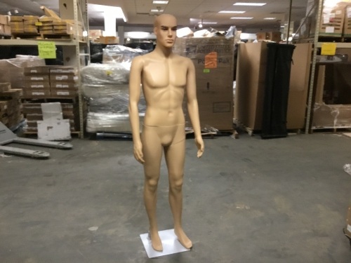 Mannequin - Appears New  - Lot 374