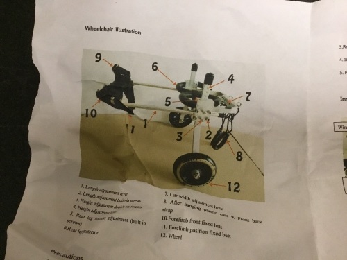 Dog Wheelchair - Appears New  - Lot 648