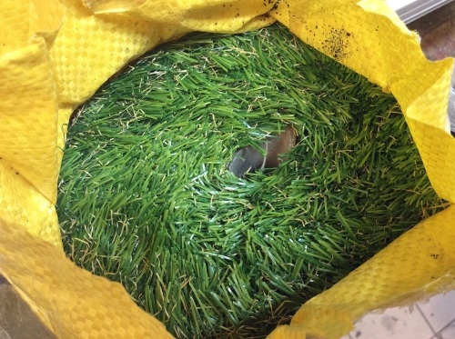 Thick Artificial Grass Pet Pad - Appears New  - Lot 879