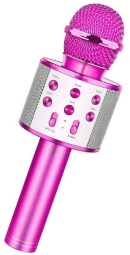 Wireless Microphone w/ Speaker, Powers Up, Appears New - Lot 270