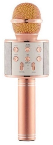 Wireless Microphone w/ Speaker, Powers Up, E-Comm Return - Lot 286