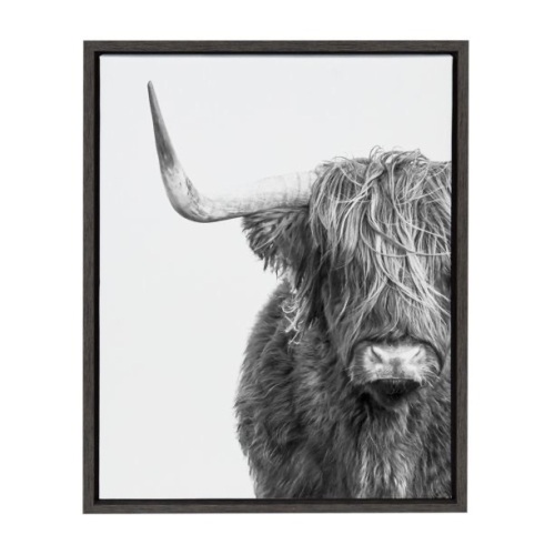 Sylvie Highland Cow Black and White Portrait, 18 x 24 - Lot 648