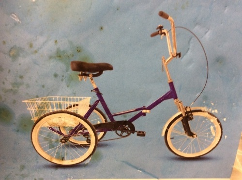 20" Single Speed Tricycle with Basket - Appears New - Lot 69