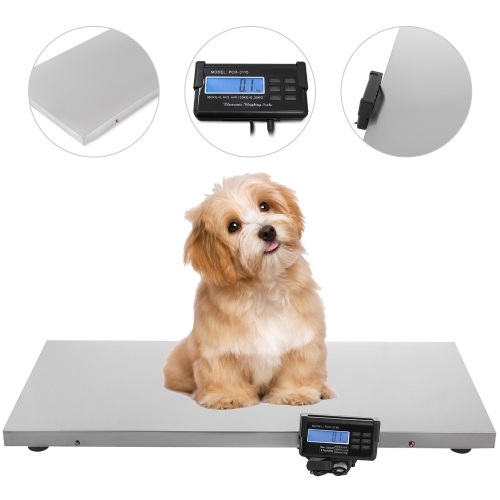 660lb Digital Heavy Duty Livestock Vet Scale - Appears New   - Lot 327