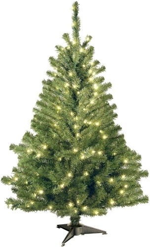 National Tree Company 4' Pre-Lit Artificial Christmas Tree, Kincaid Spruce - Appears New  - Lot 1027