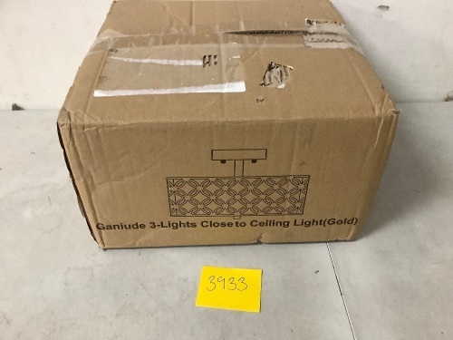 3-Light Mounted Ceiling Light - Lot 3933