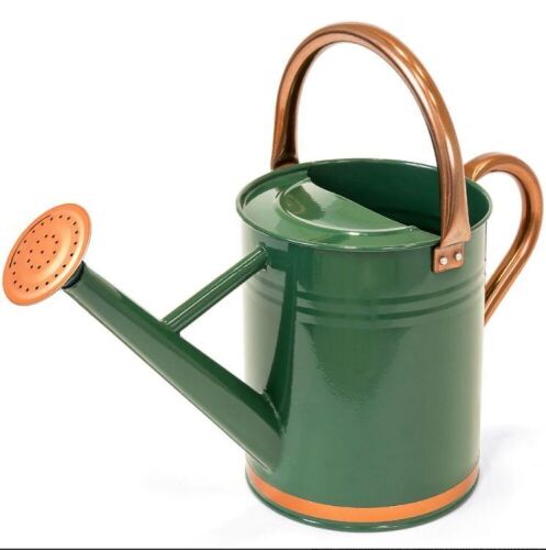  1-Gallon Galvanized Steel Watering Can w/ O-Ring, Top Handle - Lot 1091