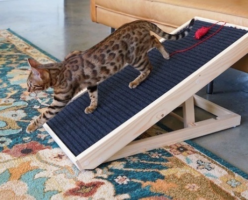 ScratchyRamp,Appears New - Lot 408