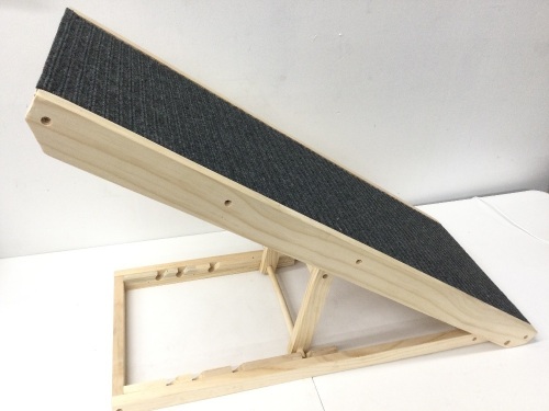 ScratchyRamp,Appears New - Lot 438