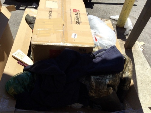 Salvage Pallet, Items Will Be Broken, Damaged, and Incomplete - Lot 441