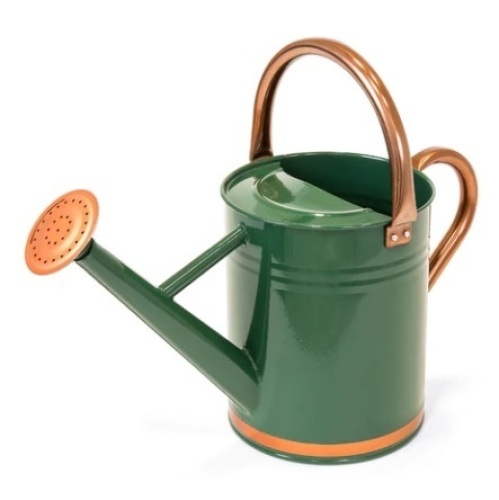 1-Gallon Galvanized Steel Watering Can, Green - Lot 491