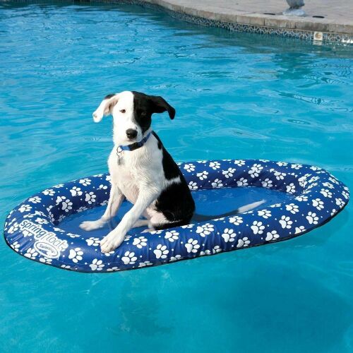 SwimWays Spring Float Paddle Paws Dog Pool Float Raft - Small, up to 65 lbs - Lot 1105