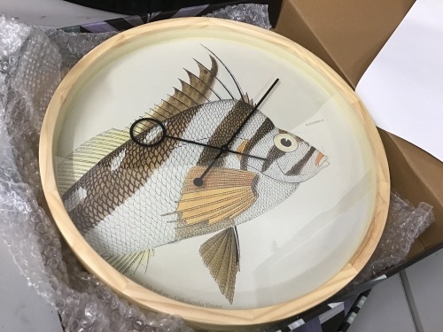 Lot of (2) Cloudnola Chilodactylus Vittatus Fish Wood Wall Clock, 16.5" - E-Comm Returns, Appear New  - Lot 113