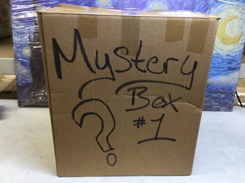 Mystery Box #1 Packed Full of Miscellaneous Items! See Pics for Size/Weight  - Lot 121