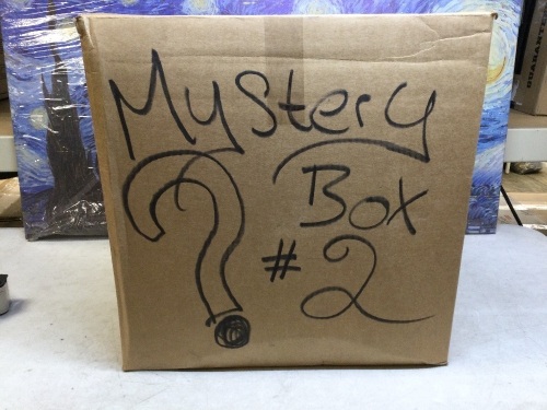 Mystery Box #2 Packed Full of Miscellaneous Items! See Pics for Size/Weight - Lot 299