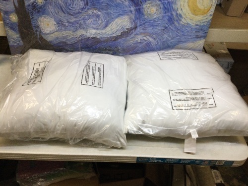 Lot of (2) Pillows - Appear New - Lot 350