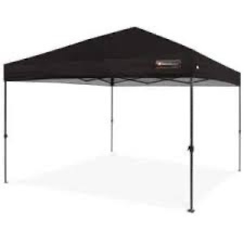 Outdoor Portable Pop Up Canopy Tent w/ Carrying Case, 10x10ft - Lot 1402
