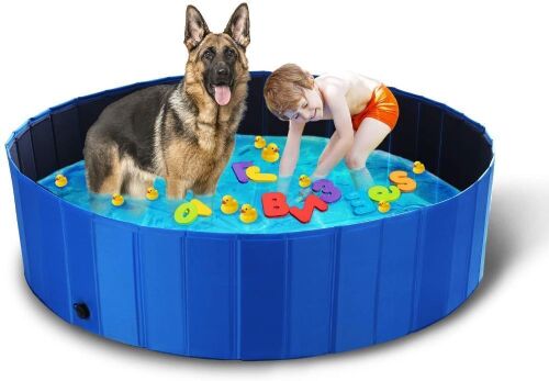 TOOCA Foldable Pet Pool, Unknown Size  - Lot 1155