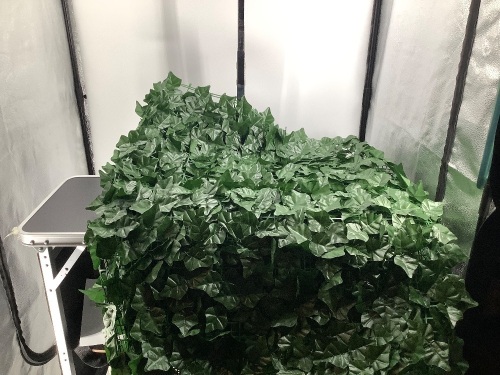 Ivy Privacy Screen, Appears New - Lot 349