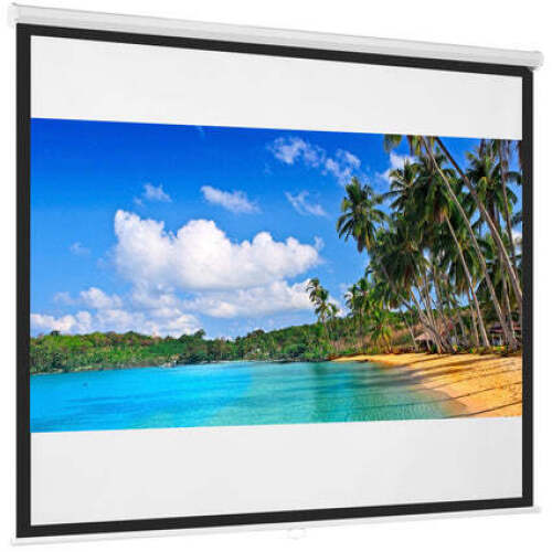 Diagonal 1:1 HD Pull-Down Manual Projector Screen - 119in - Lot 1655
