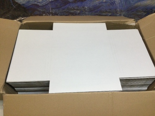 Case of 100 LP Premium Record Album Mailers - Appear New  - Lot 366