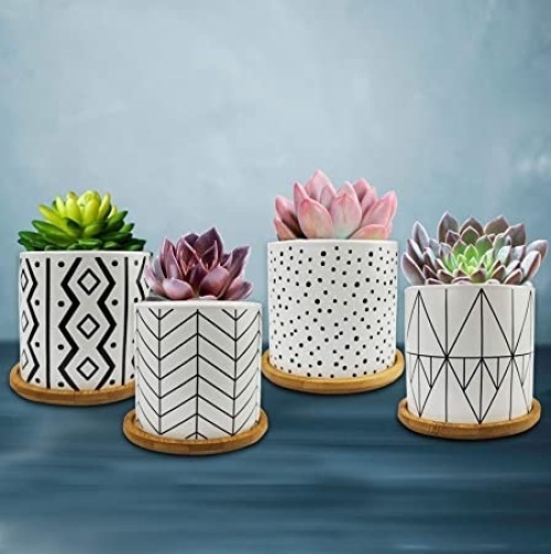 Lot of (2) Dervell Succulent Planters with Drainage, Geometric Patterned, 4 Pack - Appear New  - Lot 116