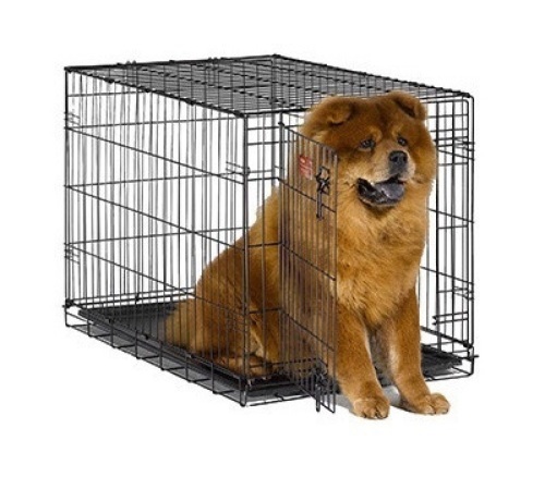 Midwest Metal 36" Dog Crate - Appears New - Lot 282