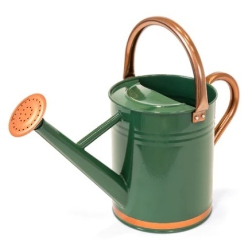 1-Gallon Galvanized Steel Watering Can, Green