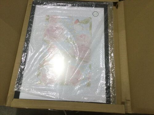 Case of (6) Picture Frames 18" x 24"  - Lot 427