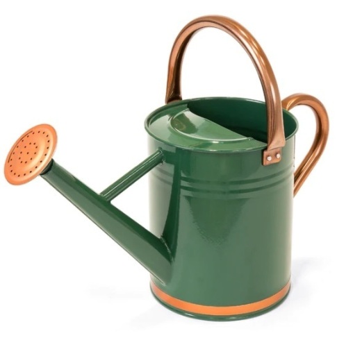 1-Gallon Galvanized Steel Watering Can w/ O-Ring, Top Handle,APPEARS NEW - Lot 79