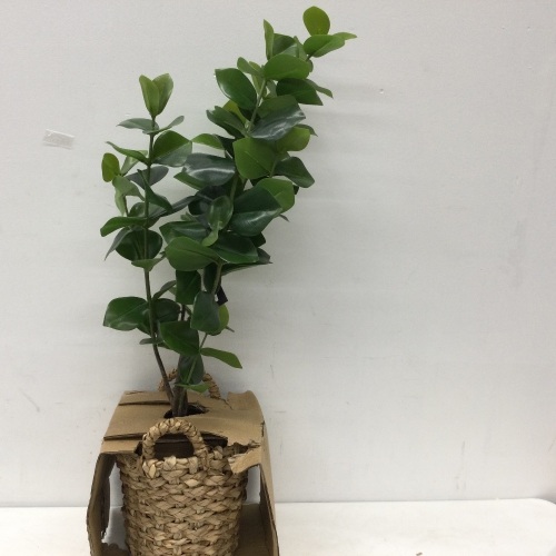 Wicker Flower Pot w/ Artificial Plant - Lot 90