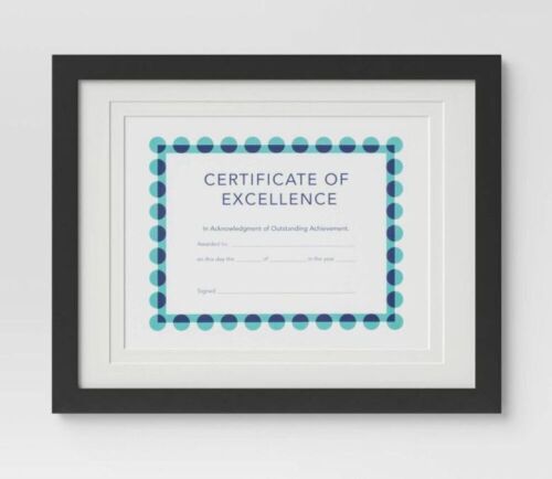 Case of (4) Threshold 14" x 11" Matted to 8.5" x 11" Document Frames - Lot 216