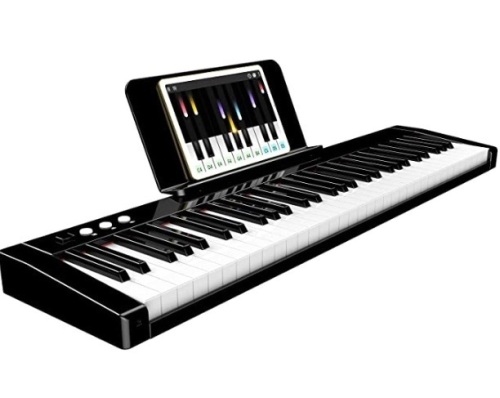 Terence TS-01 61 Key Electric Keyboard Piano, Powers On, Appears New - Lot 226