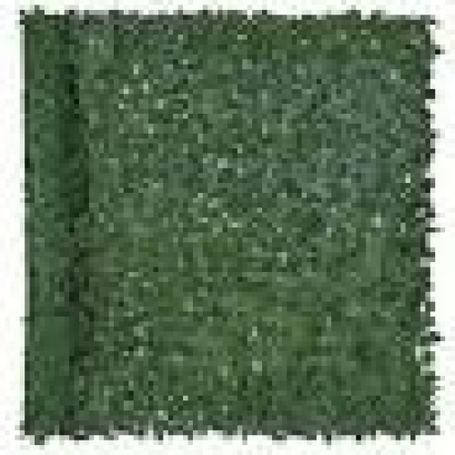 BCP. SKY. 1411  :  Best Choice Products  Faux Ivy Privacy  Fence Screen For OutDoor  Decor  - Lot 327